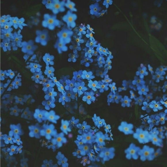 Take Risks 🌟🦋 - Picture 2 of 2